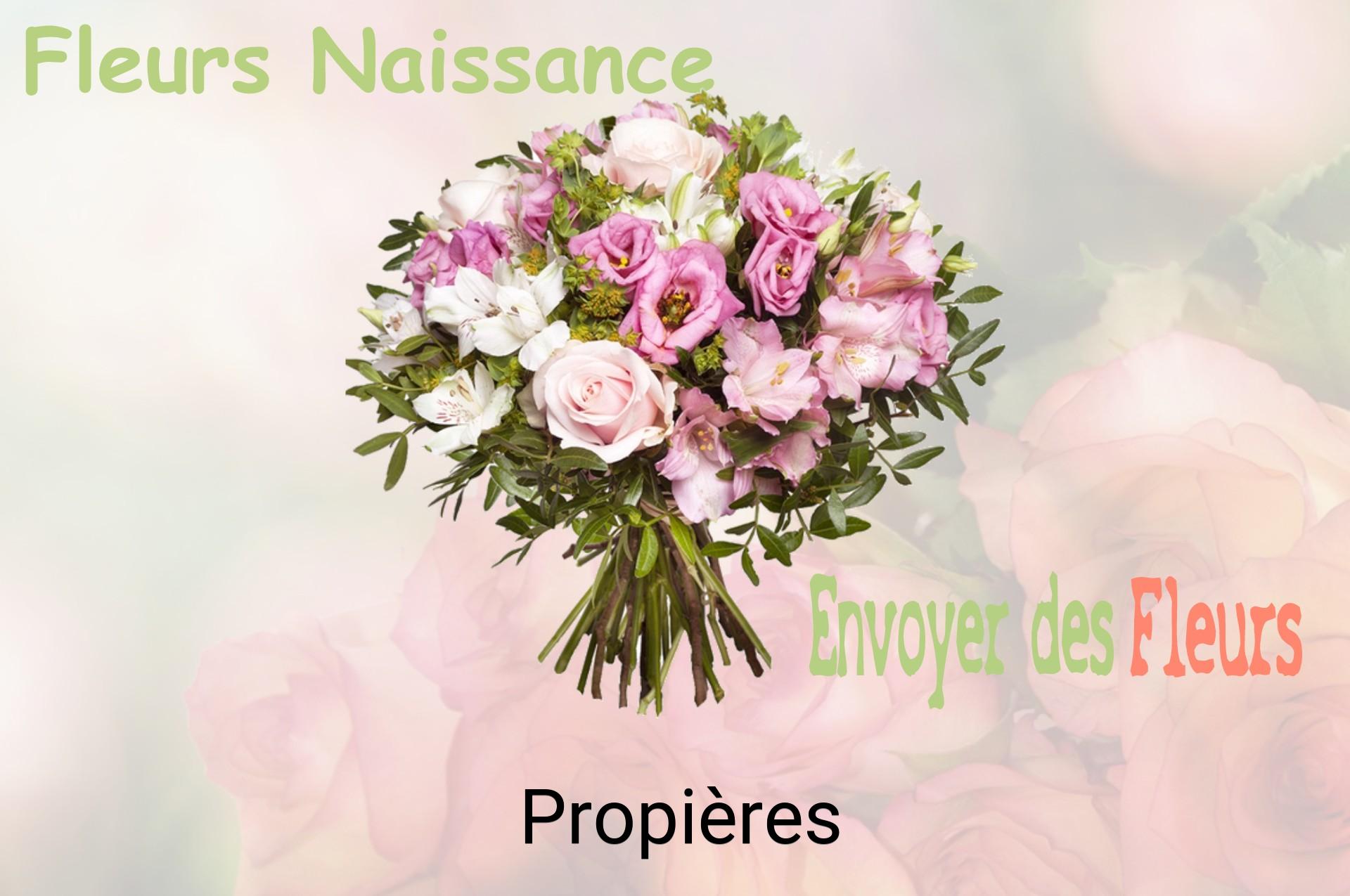 Bouquet de fleurs de naissance livré à Propières
