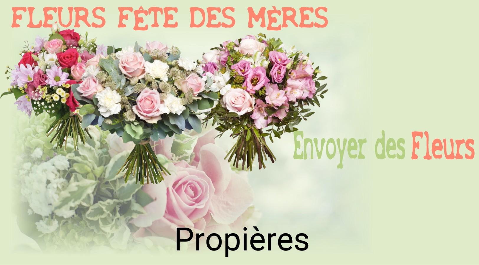Bouquet de Fête des Mères livré à Propières